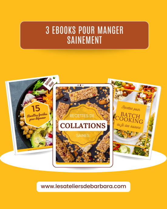 Pack 3 ebooks : Collations saines, recettes froides pour déjeuner et recettes au fil des saisons pour batch cooking